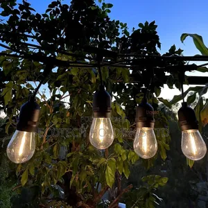 Vintage 10mtrs 10bulbs Option String Light Hj6cx
