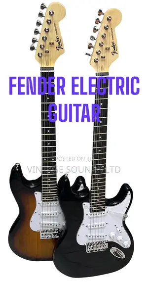 Fender American Professional Stratocaster Electric Guitar