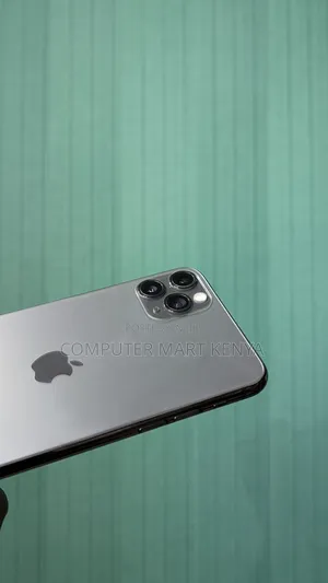 Apple iPhone 11 Pro Max 256 GB Gray