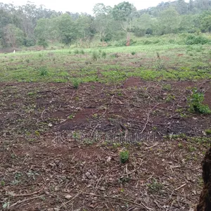 Plot 4 Sale