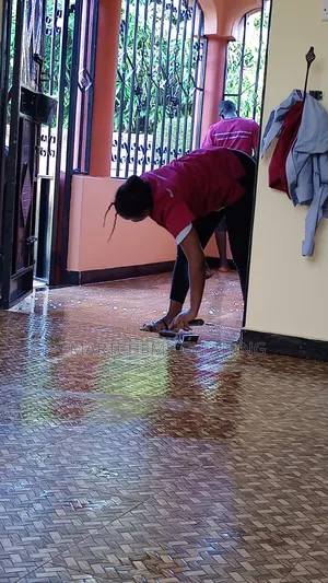 Professional Homes Cleaning