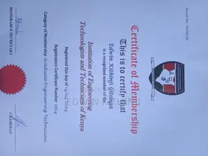 El-Duce Constitution