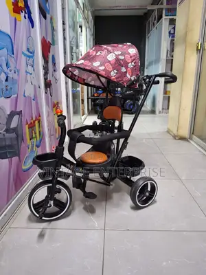 Kids Tricycle With Push Hand and Canopy