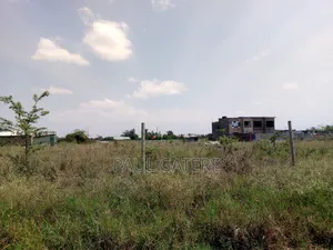 1/4acre Plot