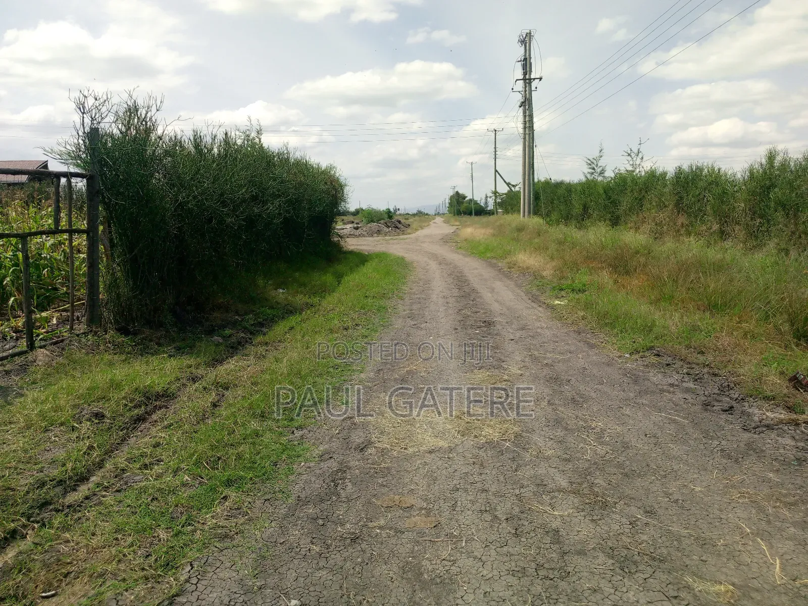 1/4acre Plot