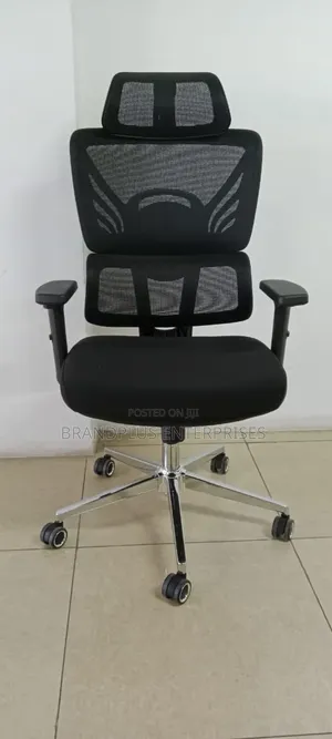 Executive Orthopedic Office Seat