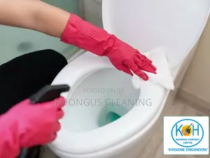 The Best House Cleaning Services Nakuru