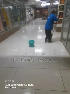 General Cleaning and Pest Control
