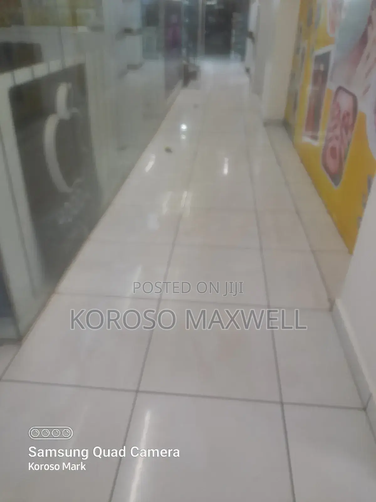 General Cleaning and Pest Control