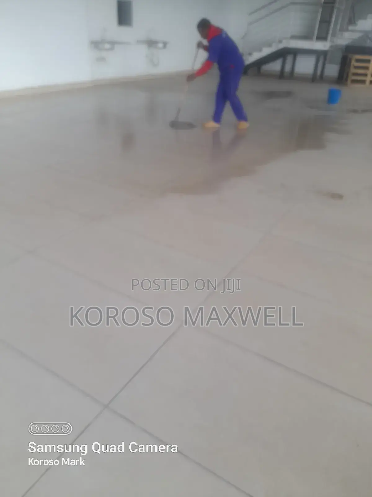 General Cleaning and Pest Control