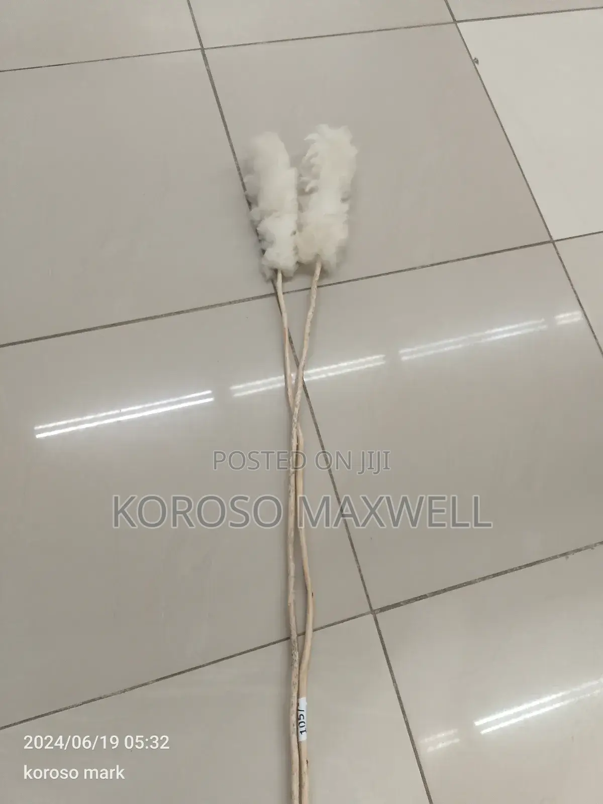 General Cleaning and Pest Control