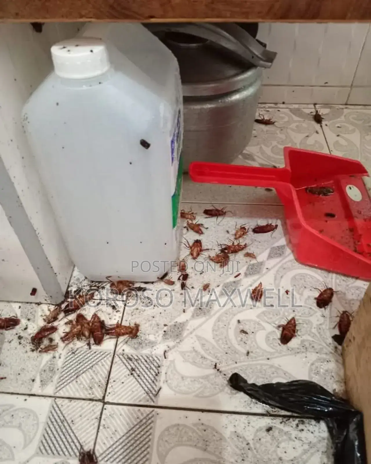 Pest Control