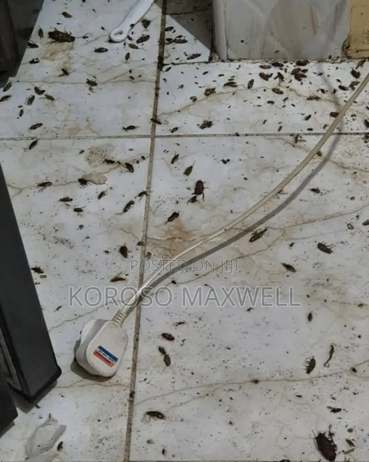 Pest Control