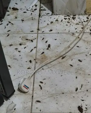 Pest Control