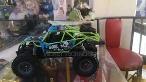 Remote Control Kids Racing and Off Road Cars