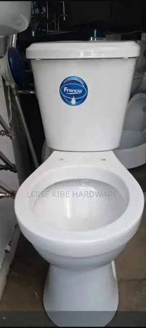 Flashing Toilet Available