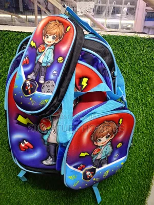 3 in 1 School Bag
