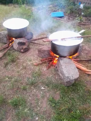 Professional Chef