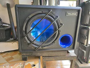 10 Inch Powered Amplified Bass Subwoofer
