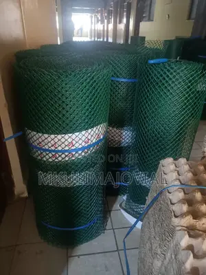 Plastic Mesh 1*50 MTRS