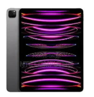 New Apple iPad Pro 11 (2022) 256 GB Black