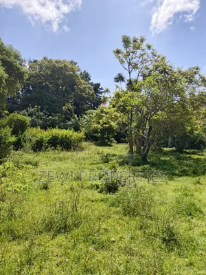 One Acre Karen