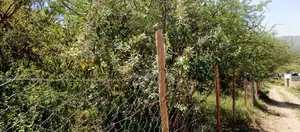 1 Acre for Sale - Kisamis, Corner Baridi