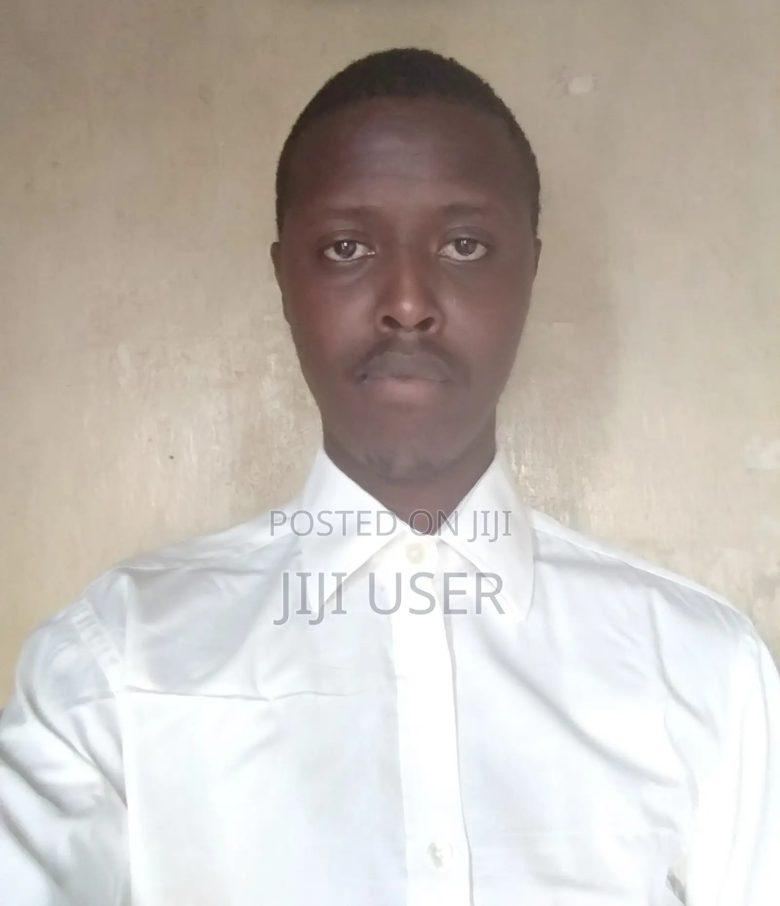 Software Developer