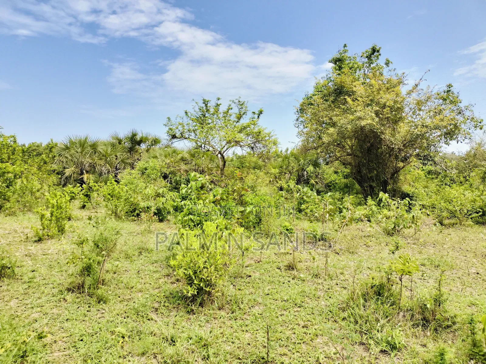 Muhaka Quarter Acre Plot