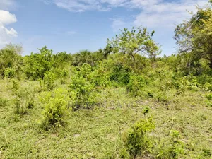 Muhaka Quarter Acre Plot