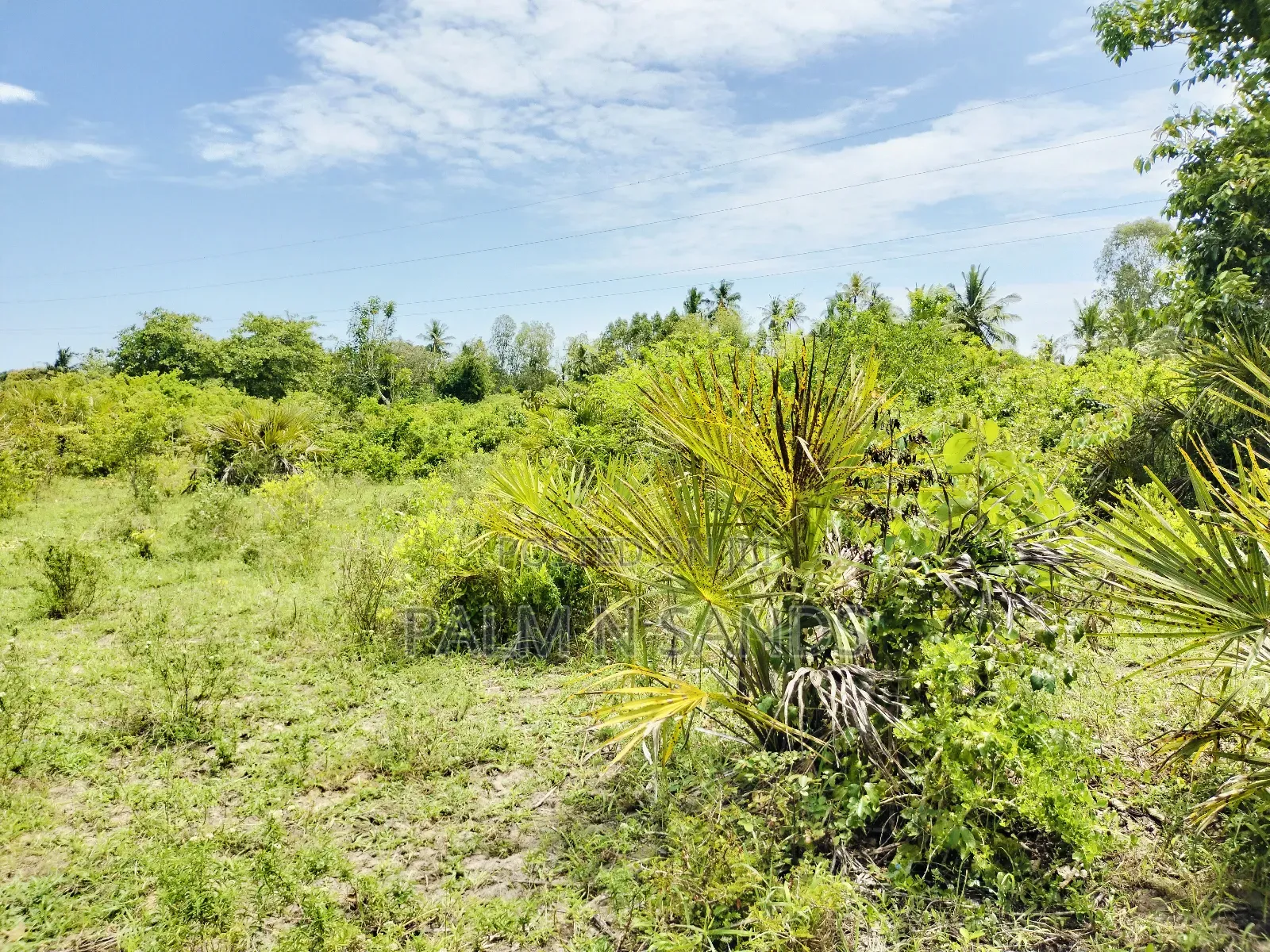 Muhaka Quarter Acre Plot