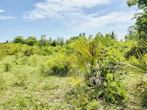 Muhaka Quarter Acre Plot