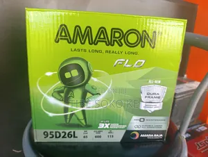 Ns70 Amaron (95d26)
