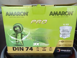 Din 74 Amaron Pro
