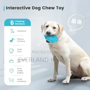 Dog Squeaky Rugby Soccer Ball Toy