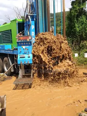 Borehole Drilling And Solarization Service