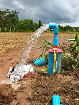 Borehole Flushing ,Drilling And Camera Service