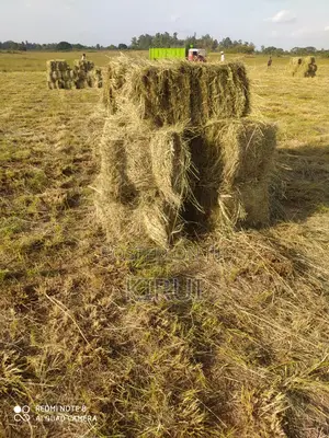 Hay for Sale Boma Rhodes