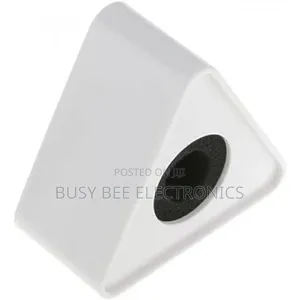 Microphone Mic Flag Triangle White