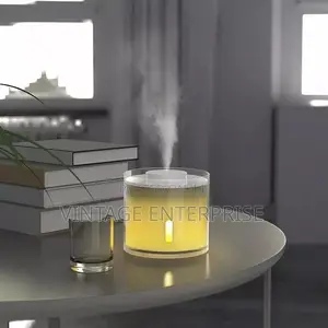 Color Changing Humidifier