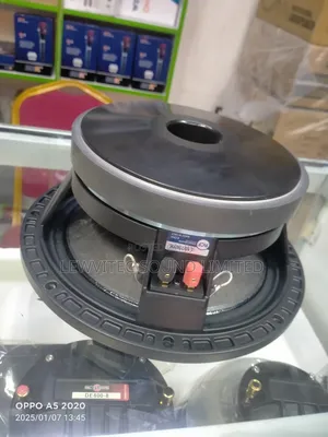 RCF 10 Inch Speaker