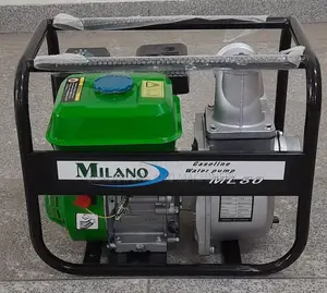 Low Or Normal Pressure Pump