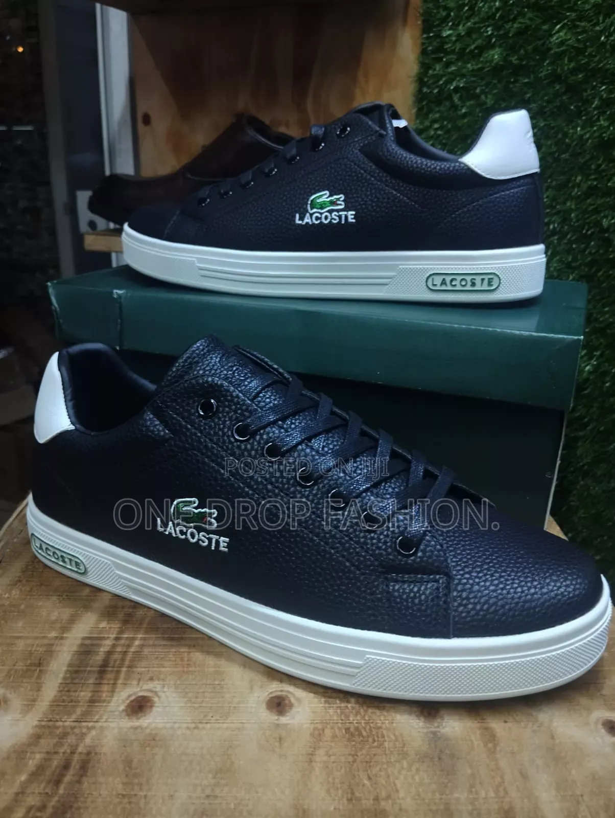 Lacoste Un1