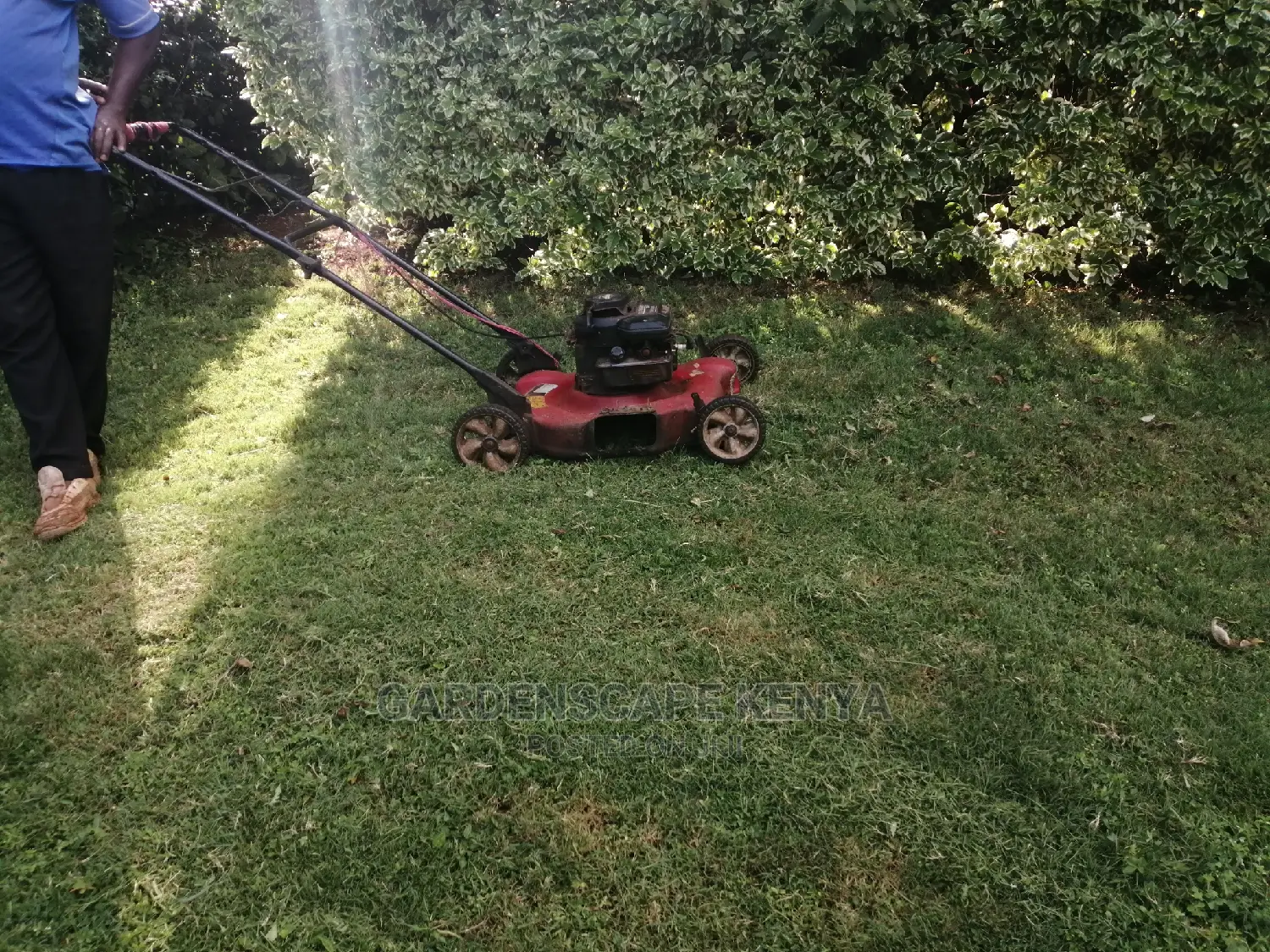 Mowing Services