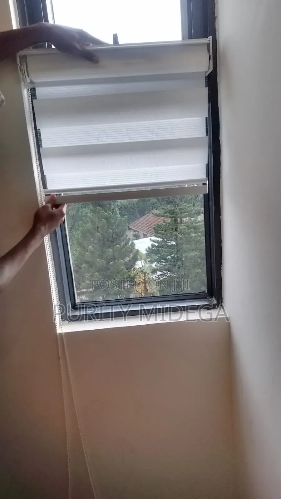 White Horizontal Sheer Roller Blinds