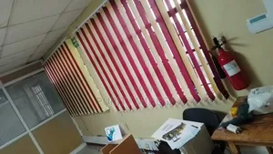 Pretty Vertical Blinds