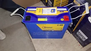 Eastman Tubelar Gel Battery