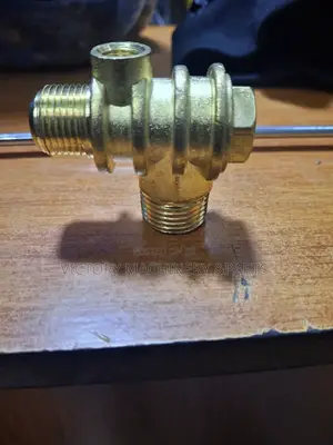 100l,150l,200l Non Return Valve for Compressor