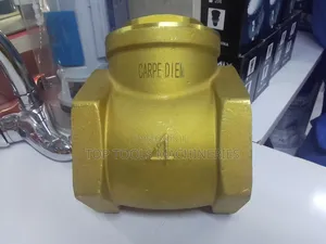Carpe Diem Gate Valve 4 Inch