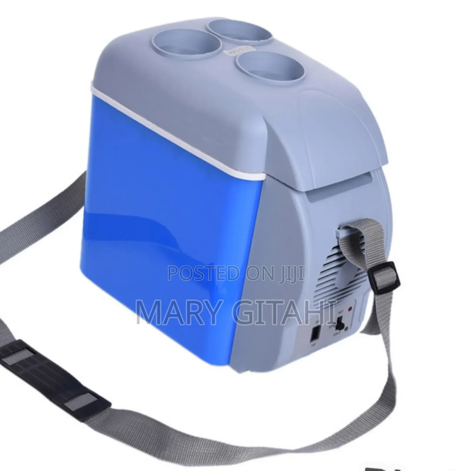 Portable Mini Car Fridge Cooler Warmer 7.5L